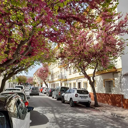 Solimar Apartment